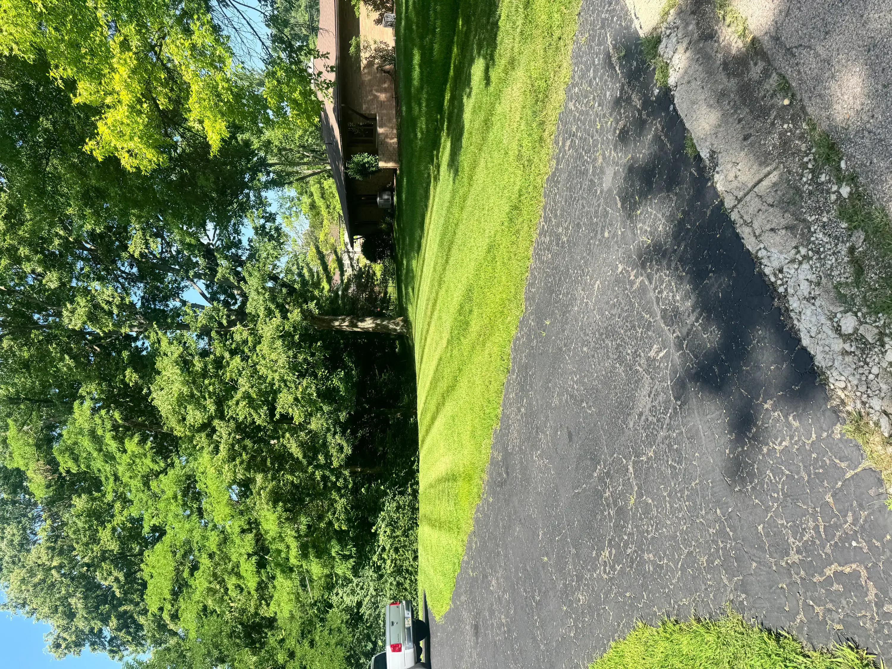 Manicured green lawn with mature trees and clean driveway edges at residential home