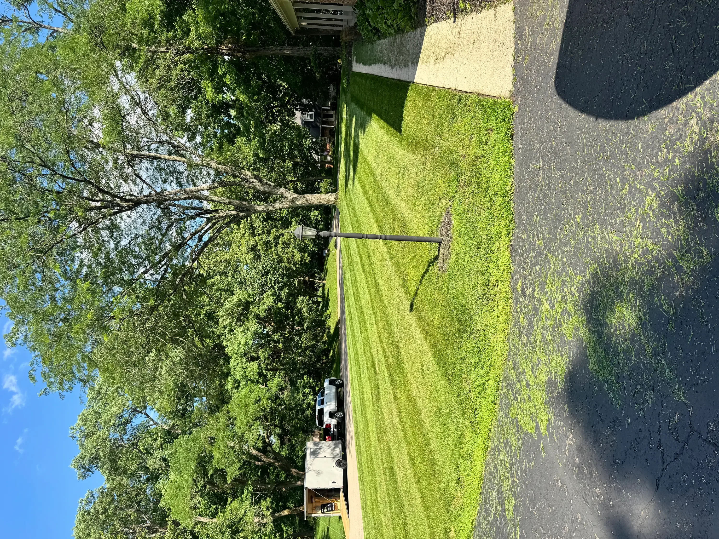 Freshly mowed residential lawn with striped mowing pattern and mature trees